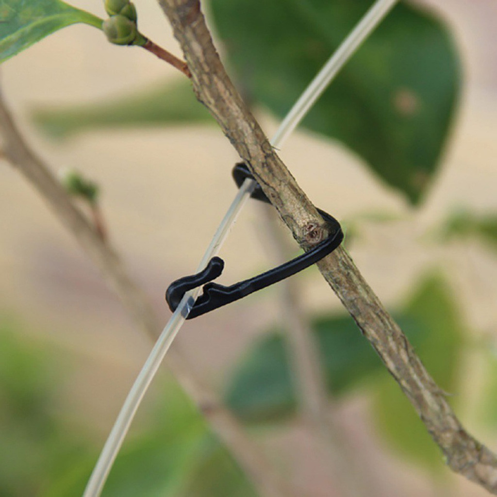 Vines Tied Buckles Fixed Strap - Plant Parenting のレビューと価格