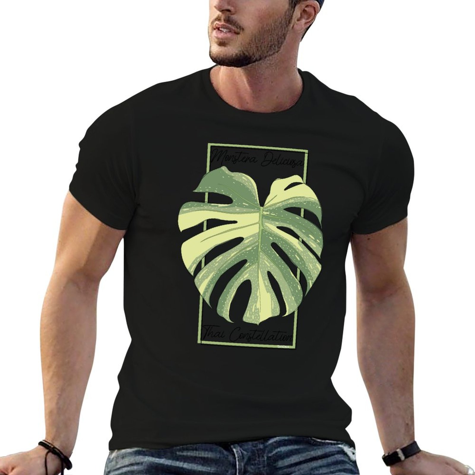 Monstera Thai Constellation Bo - Monstera Thai Constellation のレビューと価格