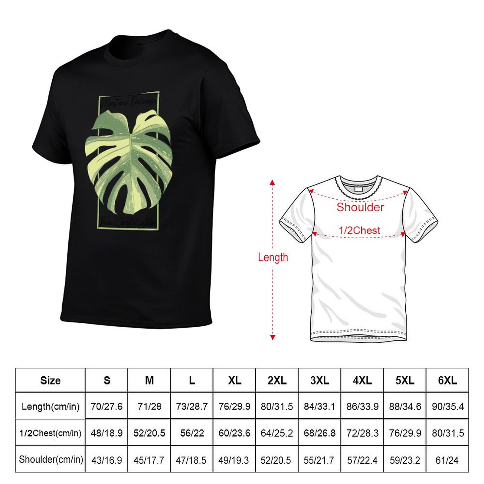 Monstera Thai Constellation Bo - Monstera Thai Constellation のレビューと価格