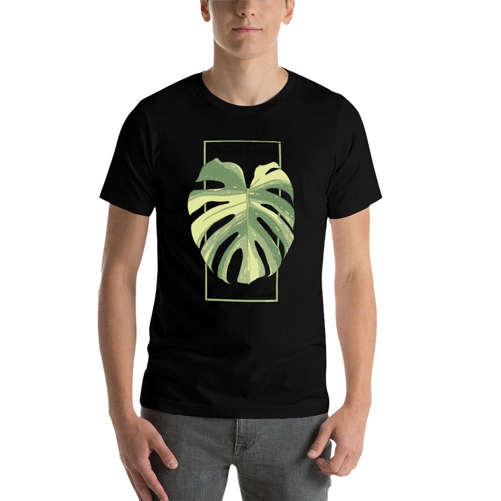 Monstera Thai Constellation Bo - Monstera Thai Constellation のレビューと価格
