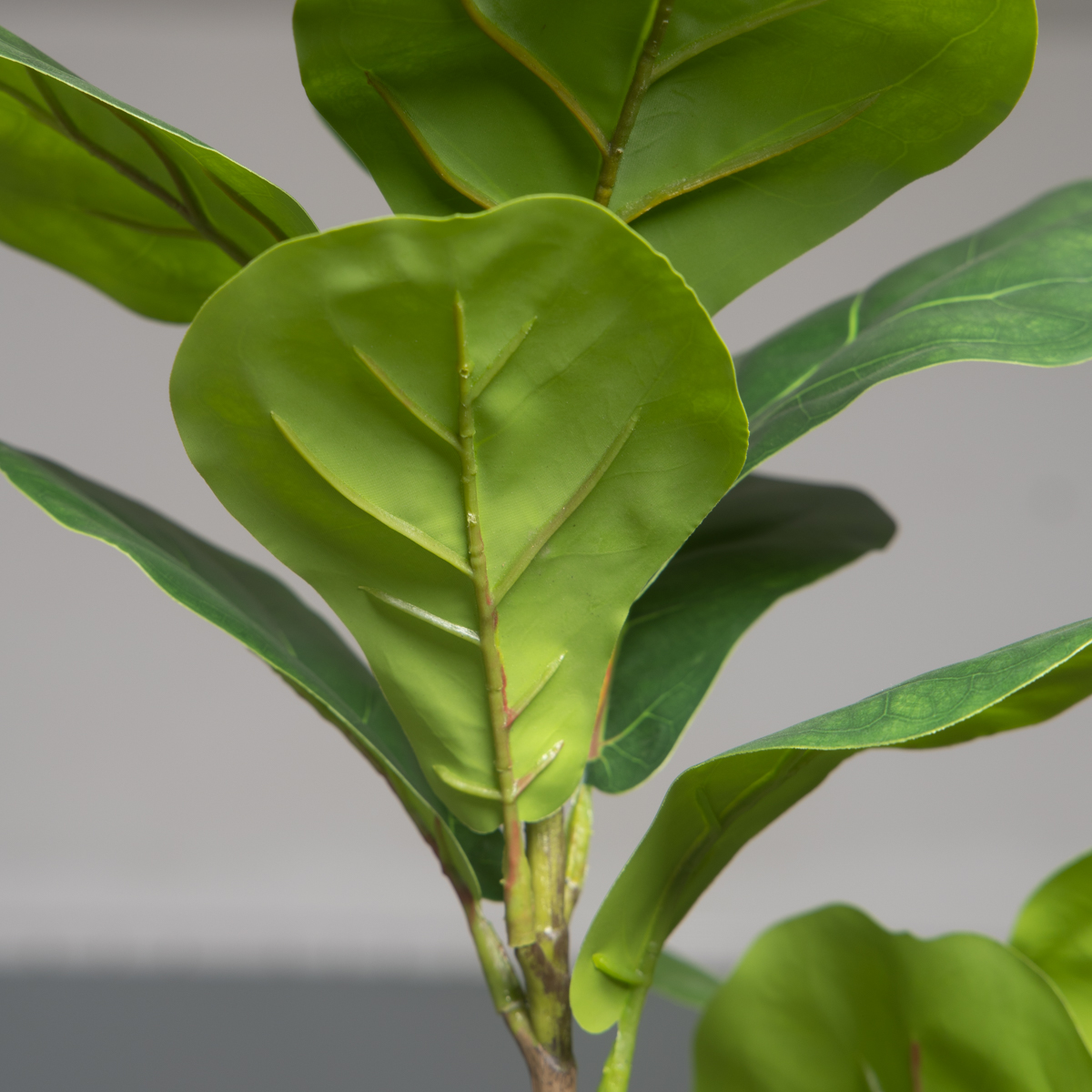 103cm/132cm Artificial Ficus T - Rubber Plant Ficus のレビューと価格