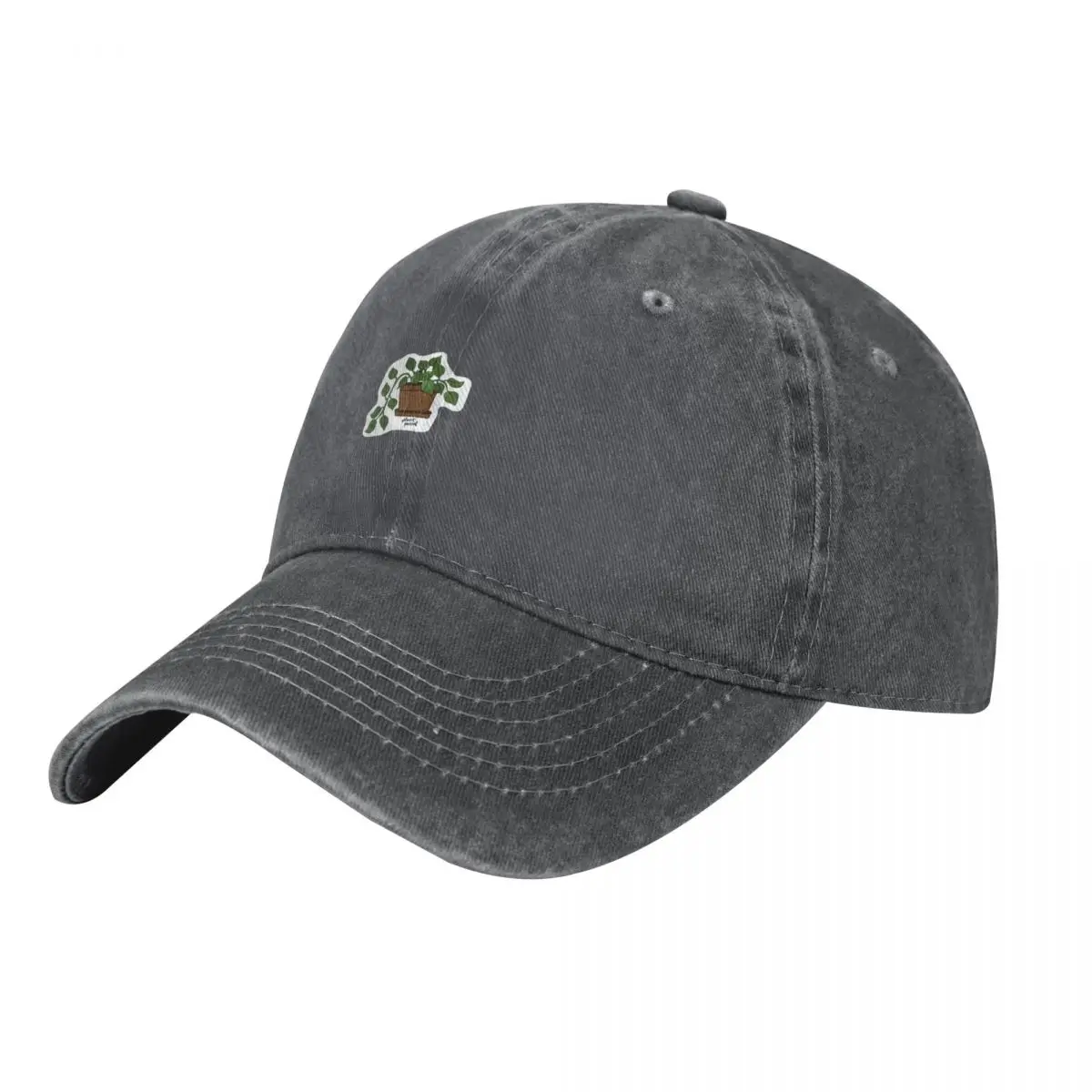 Plant Parent Pothos Baseball C - Plant Parental のレビューと価格