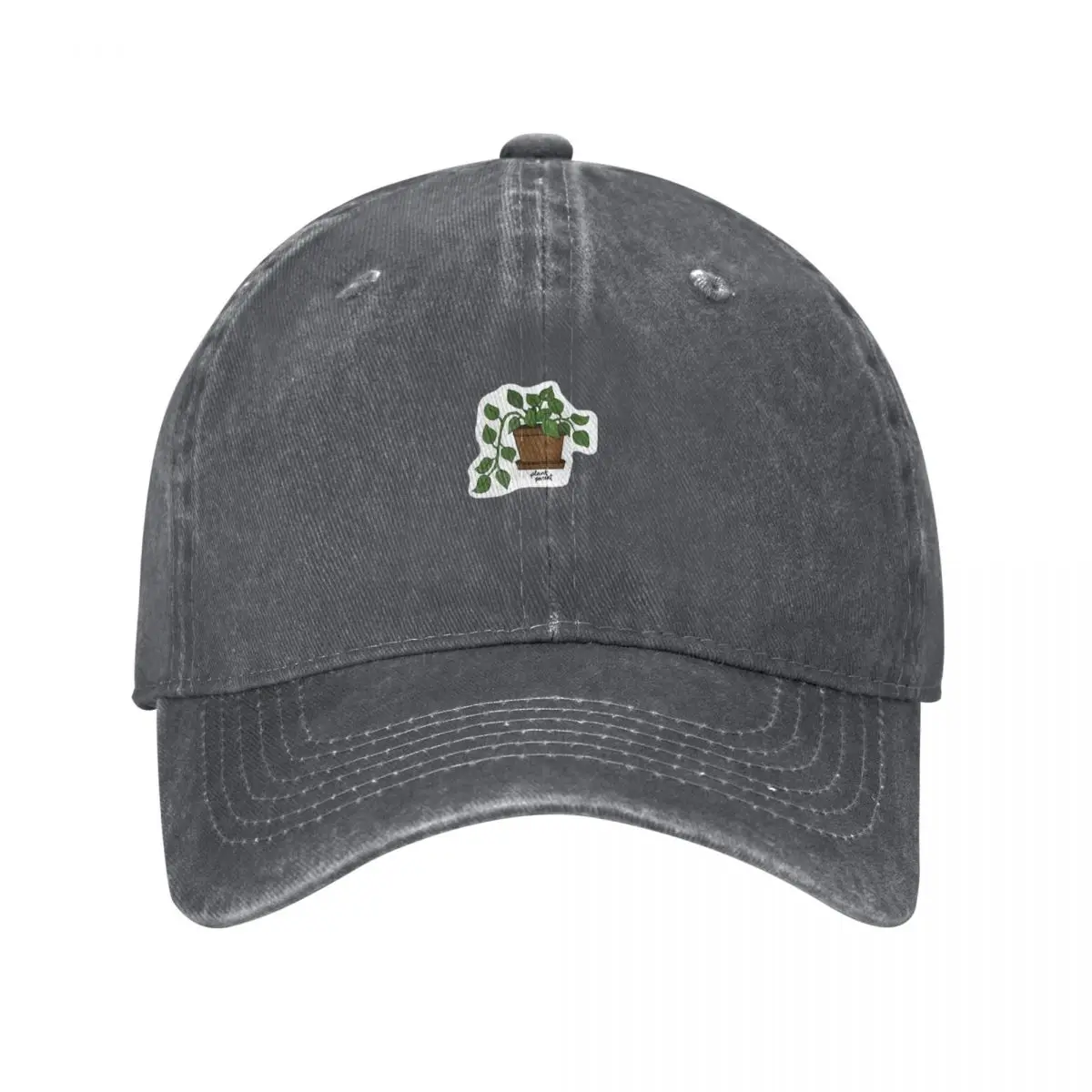 Plant Parent Pothos Baseball C - Plant Parental のレビューと価格