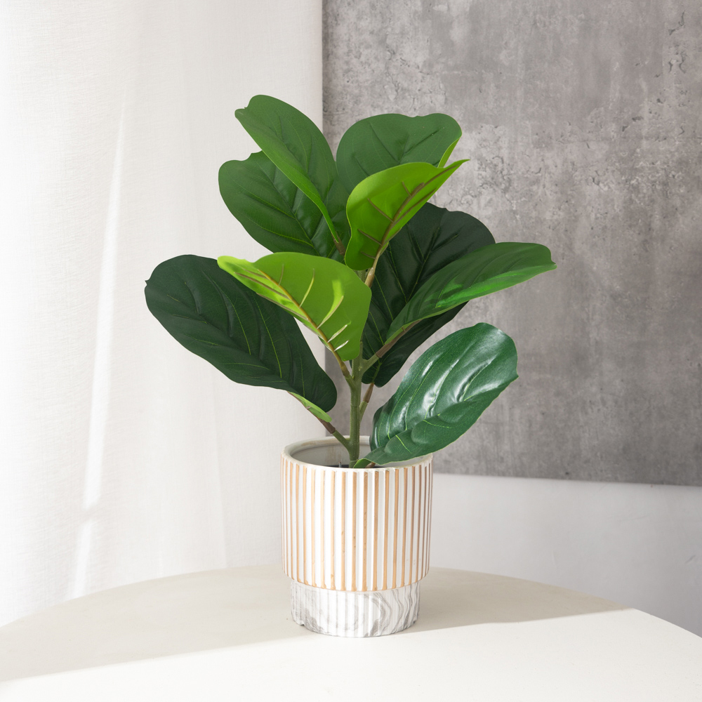 38cm 9 Forks Artificial Ficus  - Rubber Plant Ficus のレビューと価格