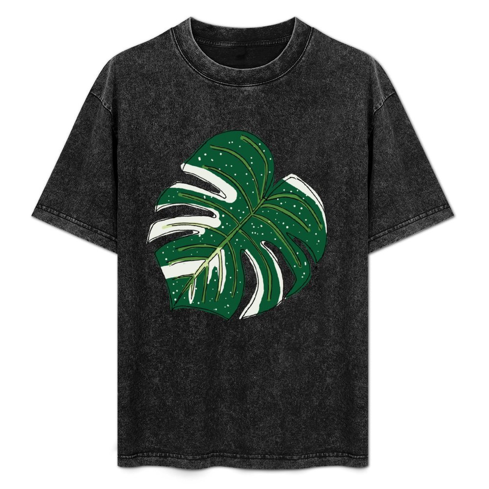 Monstera Thai Constellation T- - Monstera Thai Constellation のレビューと価格