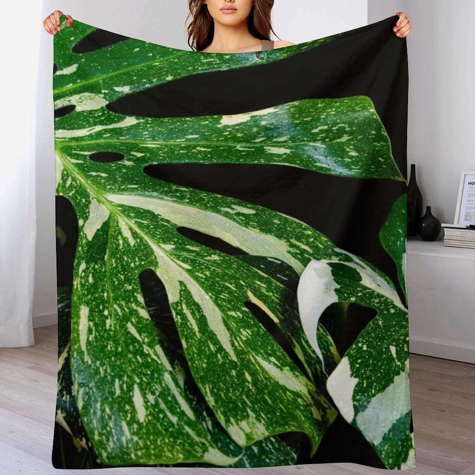 Monstera Thai Constellation Th - Monstera Thai Constellation のレビューと価格