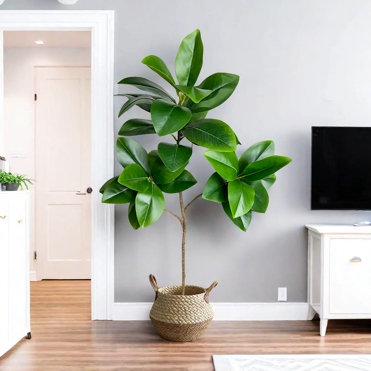 70/135cm Artificial Ficus Tree - Rubber Plant Ficus のレビューと価格