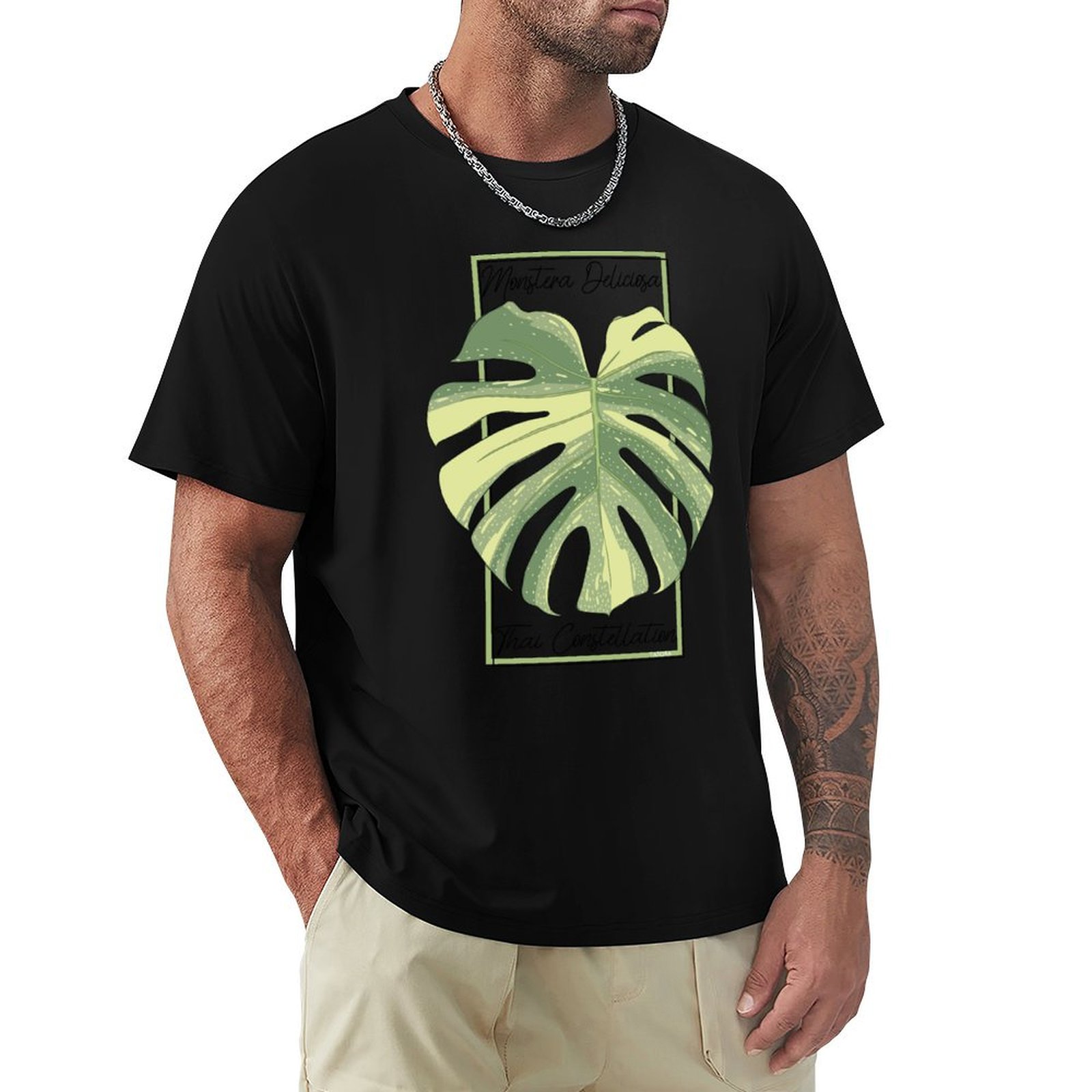 Monstera Thai Constellation Bo - Monstera Thai Constellation のレビューと価格
