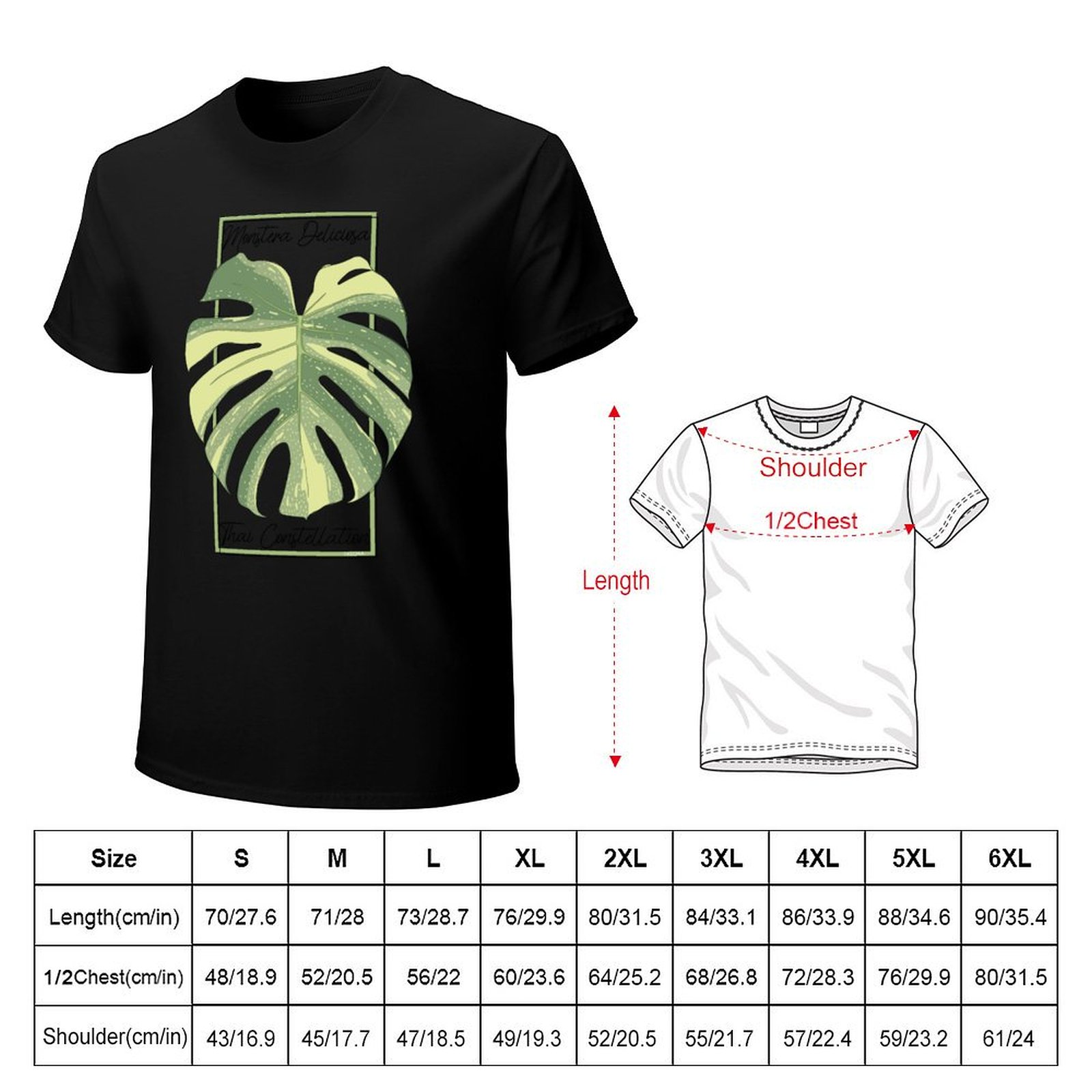 Monstera Thai Constellation Bo - Monstera Thai Constellation のレビューと価格