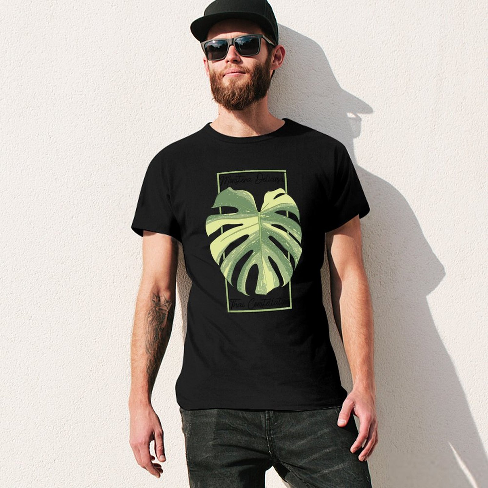 Monstera Thai Constellation Bo - Monstera Thai Constellation のレビューと価格