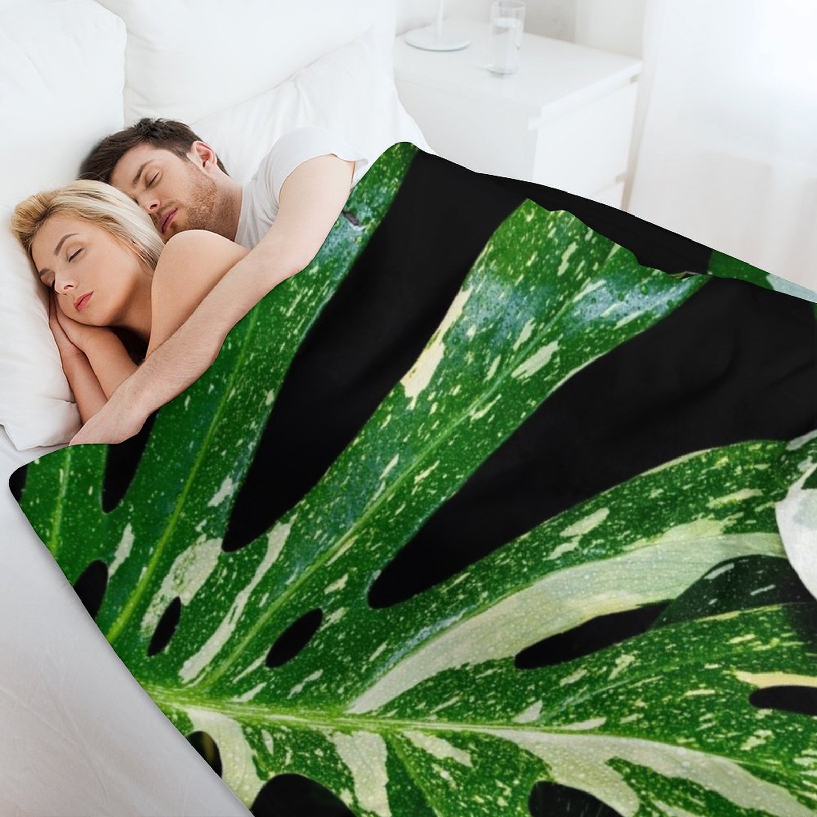 Monstera Thai Constellation Th - Monstera Thai Constellation のレビューと価格
