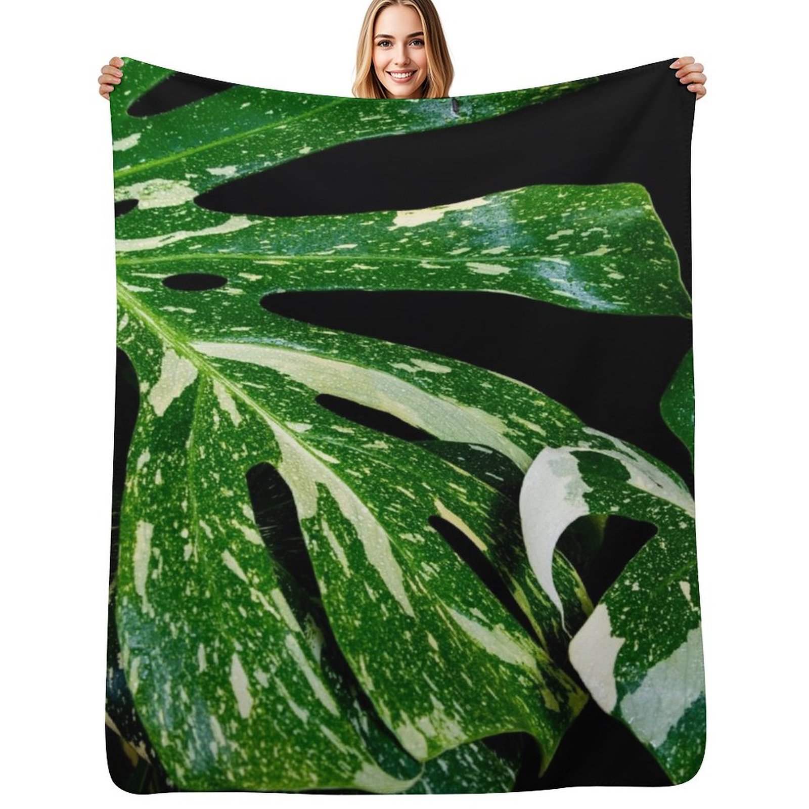 Monstera Thai Constellation Th - Monstera Thai Constellation のレビューと価格