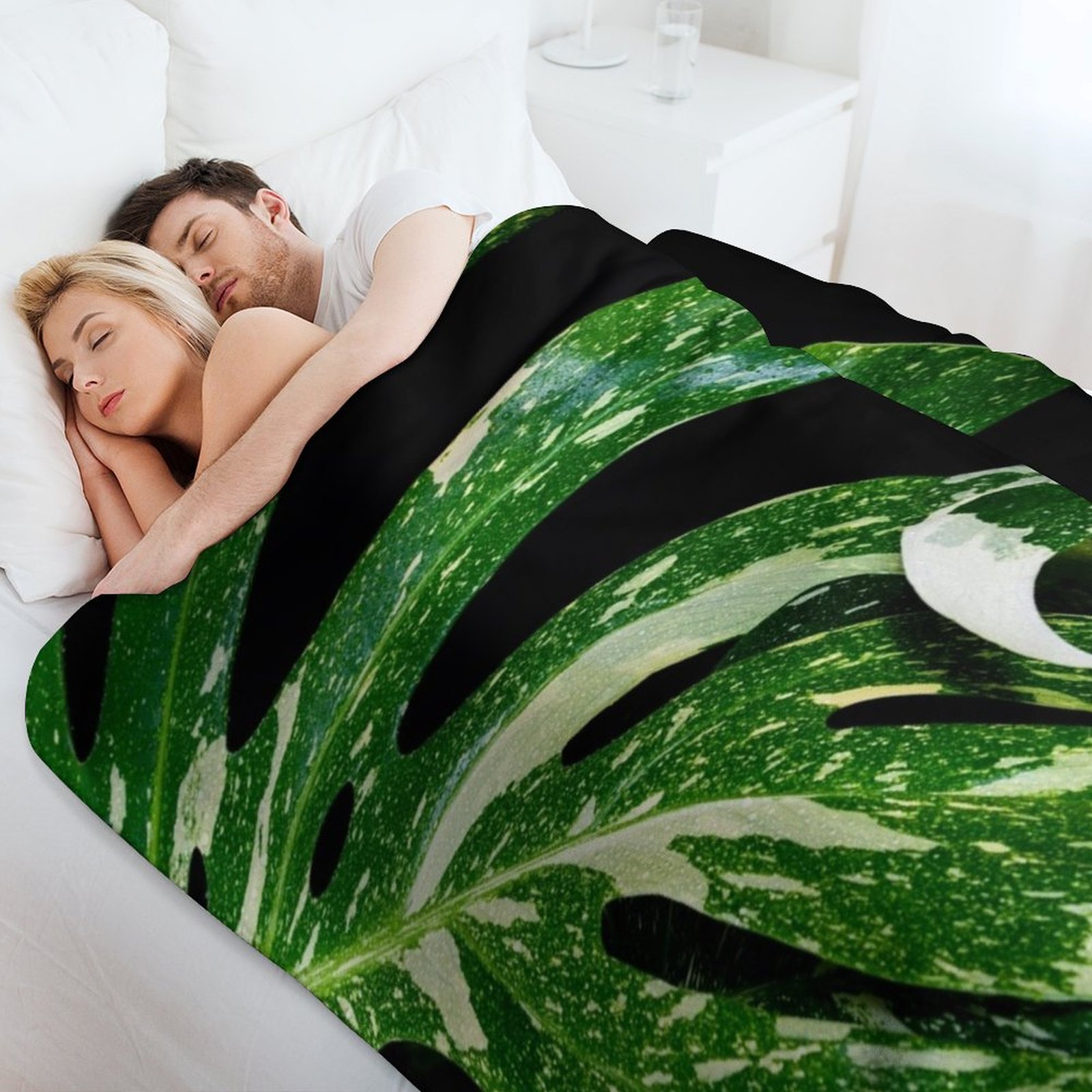 Monstera Thai Constellation Th - Monstera Thai Constellation のレビューと価格